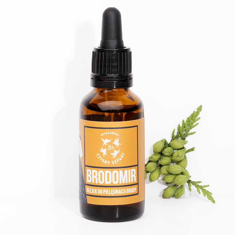 BRODOMIR - OLEJEK DO BRODY I ZAROSTU